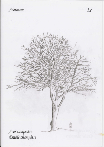 01c_nathanael