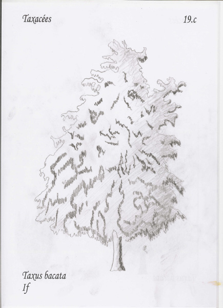 19c_raoul