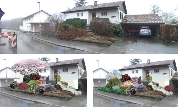 2010-02-19_pecoud